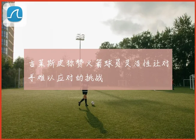吉莱斯皮称赞火箭球员灵活性让对手难以应对的挑战